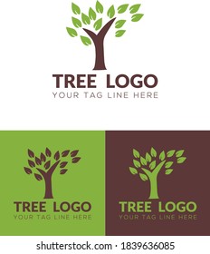 TREE LOGO FOR YOUR BRAND