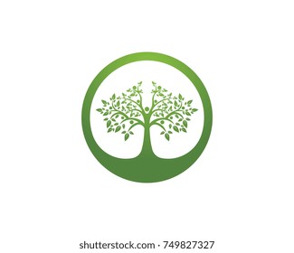 Tree logos vector