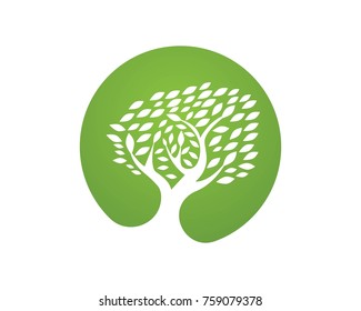 Tree logos vector symbols