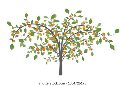 Tree with long curved branches, red fruit and green leaves on a white background