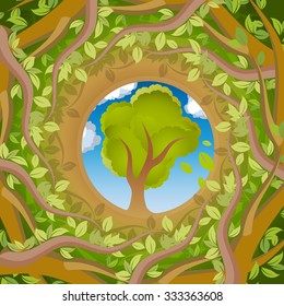 Tree look in circle