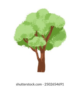 Tree with lush green leaf crown. Deciduous forest plant, trunk, branches and summer leaves. Foliage vegetation in woods. Flat graphic vector illustration isolated on white background