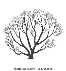 tree, many branches, halloween design vector drawing