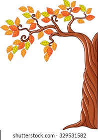 Tree maple isolated on white background 