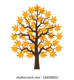 Tree maple with orange leafage, illustration