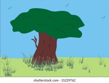 Tree in a meadow