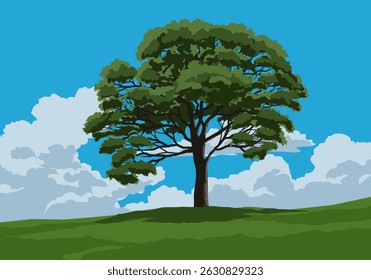 A tree in meadow. The sky is blue and cloudy