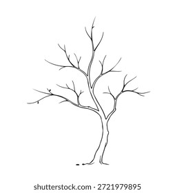 Tree, Minimalist and Simple Silhouette - Vector illustration various detailed tree silhouette, Tree With Roots  forest, nature, leaf, branch, silhouette, icon, vector Realistic Tree Illustration
