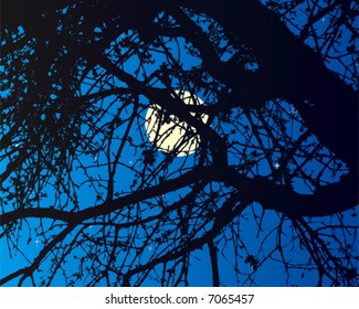 Tree in moonlight
