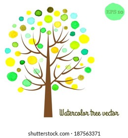 Tree with multicolor leaves of watercolor vector