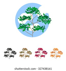 tree with multicolored leaves (yellow, red, green, brown)