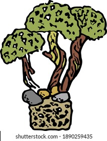 Tree with mushrooms. Plant cetraria.