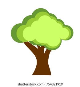 tree in my  garden