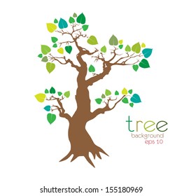tree natural design over white background vector illustration