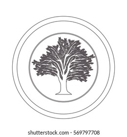 Tree natural ecology