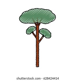 Tree natural ecology