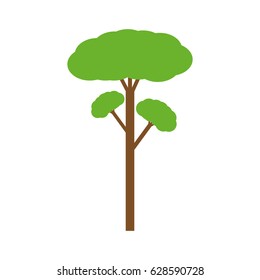 Tree natural ecology