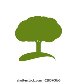 Tree natural ecology
