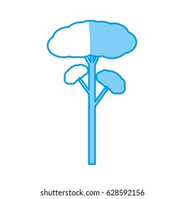 Tree natural ecology