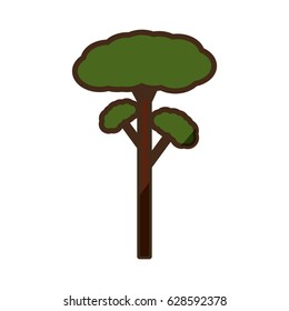 Tree natural ecology