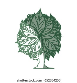 Tree natural ecology