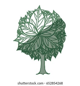 Tree natural ecology