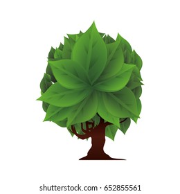 Tree natural ecology