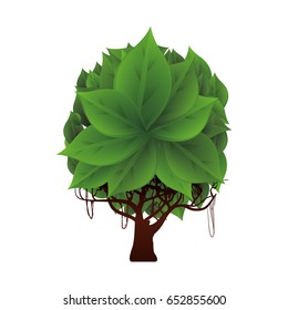 Tree natural ecology