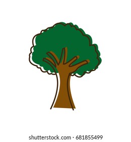 tree natural foliage branch trunk ecology