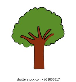 tree natural foliage branch trunk ecology