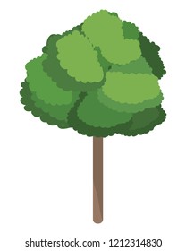 Tree nature cartoon