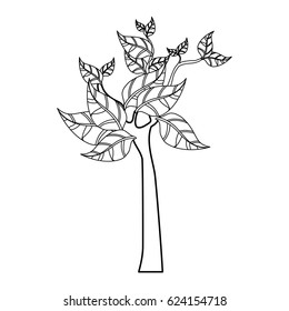 Tree nature ecology