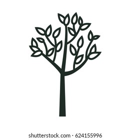 Tree nature ecology
