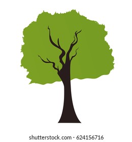 Tree nature ecology