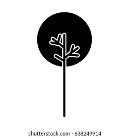 Tree nature ecology