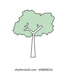 Tree nature ecology
