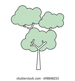 Tree nature ecology
