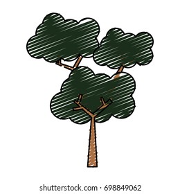 Tree nature ecology