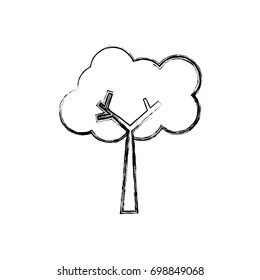 Tree nature ecology