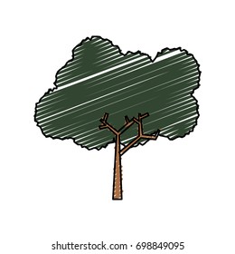 Tree nature ecology