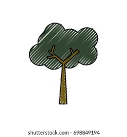 Tree nature ecology