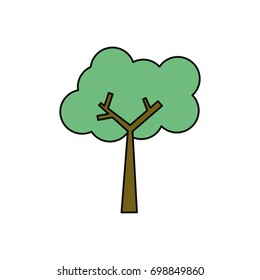 Tree nature ecology