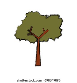 Tree nature ecology