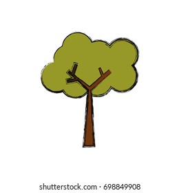 Tree nature ecology