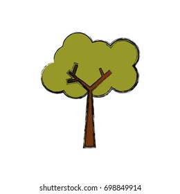 Tree nature ecology