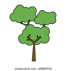Tree nature ecology