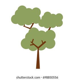 Tree nature ecology
