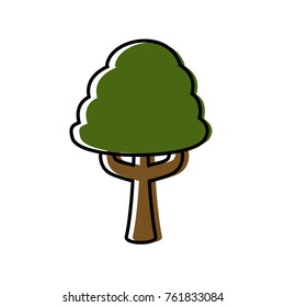 Tree nature ecology