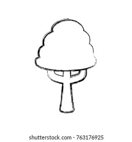 Tree nature ecology