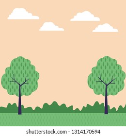 tree nature green landscape